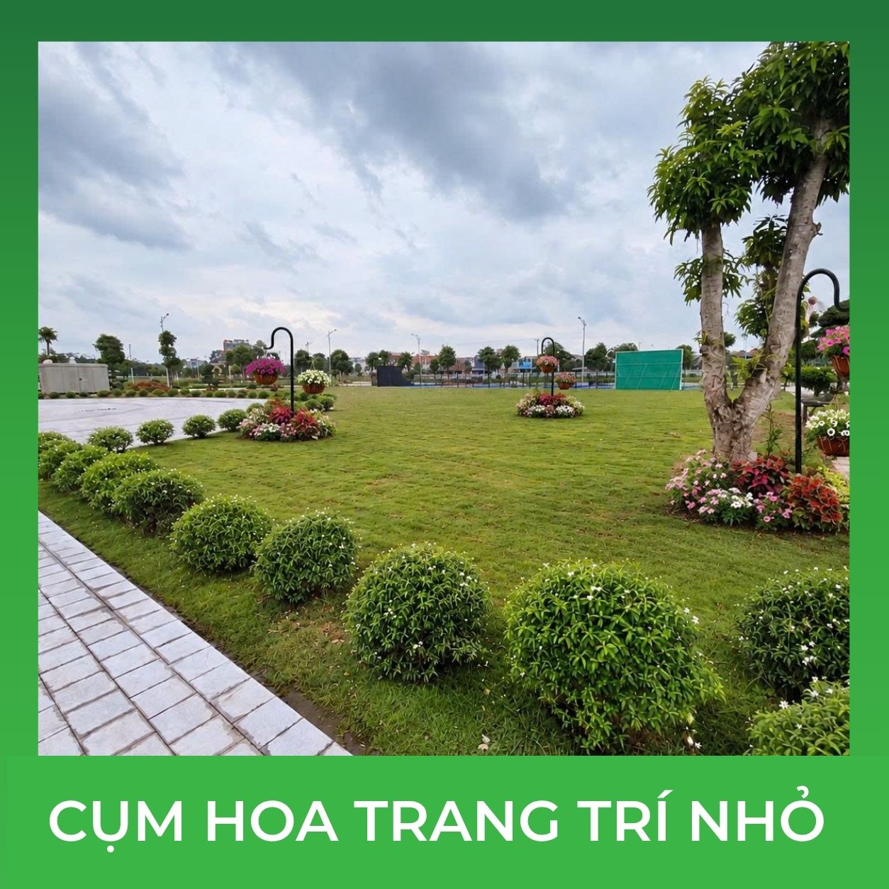 Các cụm hoa nhỏ
